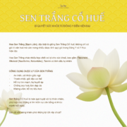 lợi ích bông sen -44